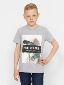 Футболка для мальчика CSJB 63570-11-375 Светло-серый меланж