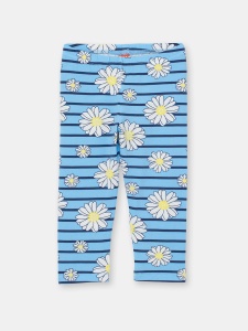 Бриджи для девочки CSKG 70192-43-311 Голубой