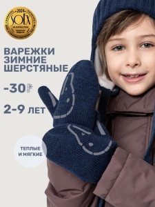 Варежки NIKASTYLE 14з17025 Неви